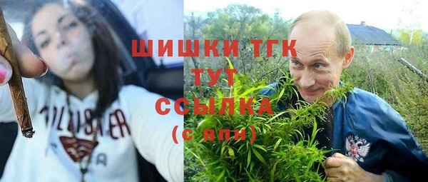 apvp Алексин
