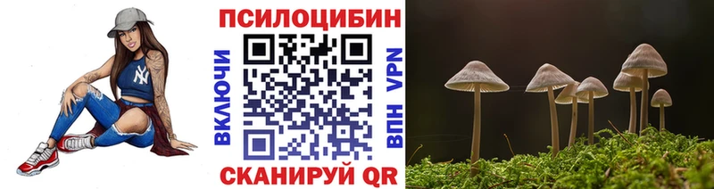 цена наркотик  Новоалександровск  Галлюциногенные грибы Cubensis 