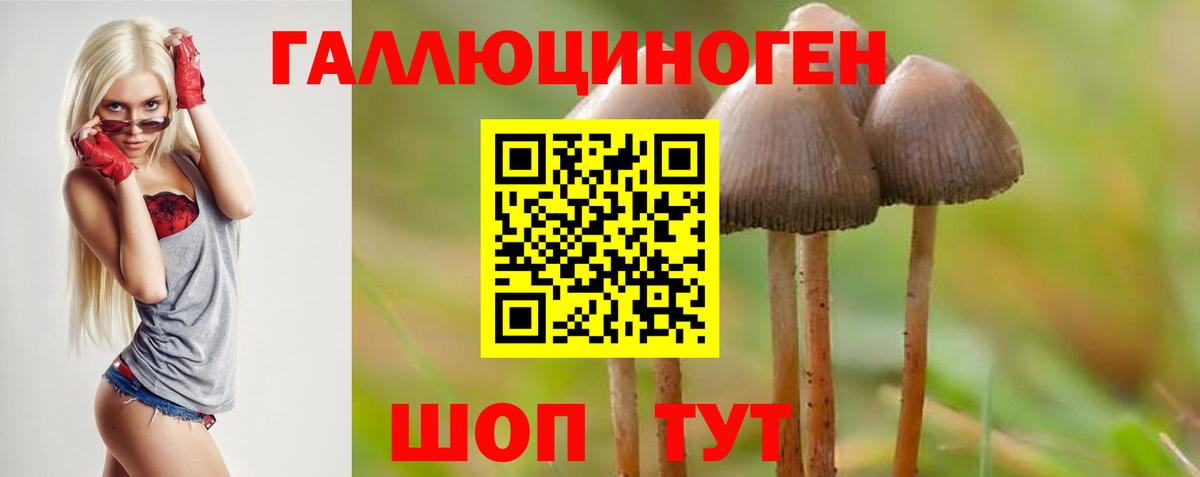 закладки  Вход с VPN  Новоалександровск  Галлюциногенные грибы Magic Shrooms 
